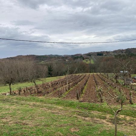 Villa Le Palmier Castelnaud-la-Chapelle Esterno foto
